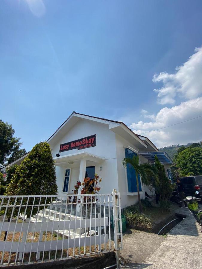 Villa Bromo Potato 2 庞越 外观 照片
